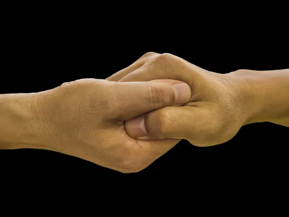 Nordis Cazino Cazinou Suport